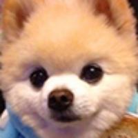 西柚停车站头像