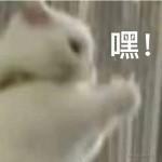 今天努力不吃小孩的个人资料头像