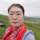 清莲头像