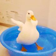 香蕉bu呐呐的个人资料头像