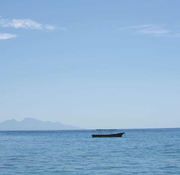 莫修的个人资料头像