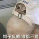 用户5161807576529 · 迈腾车主·车龄5年头像
