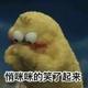 44267248头像