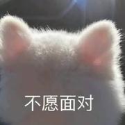 豆沙包鸭的个人资料头像