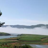 戒不掉的烟头像