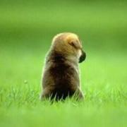 南风的夜的个人资料头像