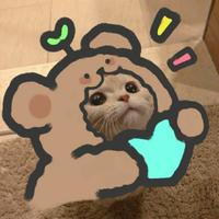 heartalwaysfollowsGo头像