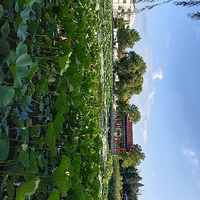 等风来52578426头像