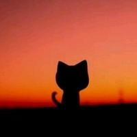 留不住时光zzzzzzz头像