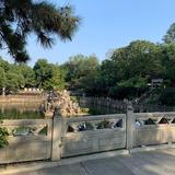 即兴2536头像