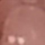 zypdyfmzs头像