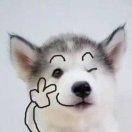 快乐风男同学的个人资料头像