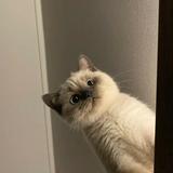 用户7928172080005头像