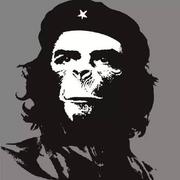 Imchenlong的个人资料头像