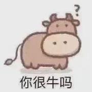 MoyuWcc的个人资料头像