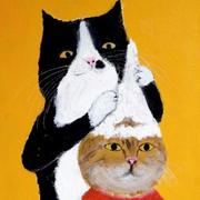 小满473的个人资料头像