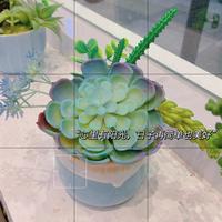 用户6018937872113头像