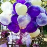 浅吻的个人资料头像