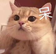 沐愿的个人资料头像