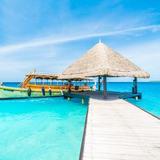 活泼小安子头像