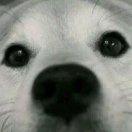 然不想说话76653的个人资料头像