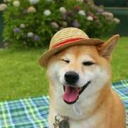 mmm丶小蛋蛋的个人资料头像