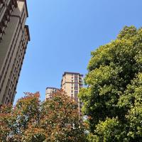 用户1398317518733头像