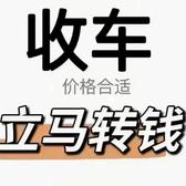 乘风破浪的辰星pL头像