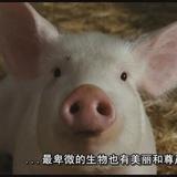Ant的自媒体运营头像