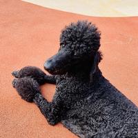 丨王先生丨头像