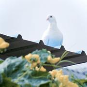 mpbfx的个人资料头像