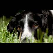 风轻云淡597的个人资料头像