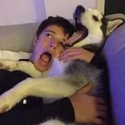 1个禾的个人资料头像