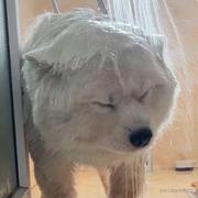 拉满buff搞代码的个人资料头像