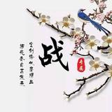 岁月静好9161头像