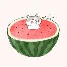 955不加糖也很甜的个人资料头像