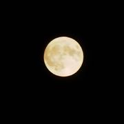 啾咪921的个人资料头像