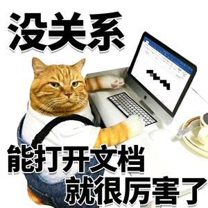 橘猫影视剧场头像