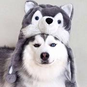 墨规18的个人资料头像