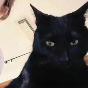 无敌小豪神的个人资料头像