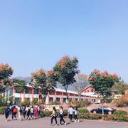 派大兴455的个人资料头像