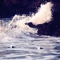 模范丈夫李食珍头像