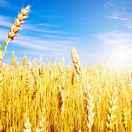 蒋walking的个人资料头像