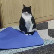 今天不加班灬的个人资料头像