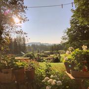 知更85的个人资料头像