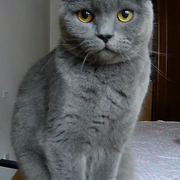 ELEI的个人资料头像