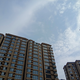 哈哈485207280133头像