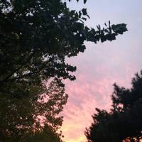 用户2878882086458头像