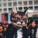 Eternitrance的个人资料头像