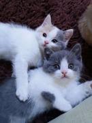 风雨佟洲的个人资料头像